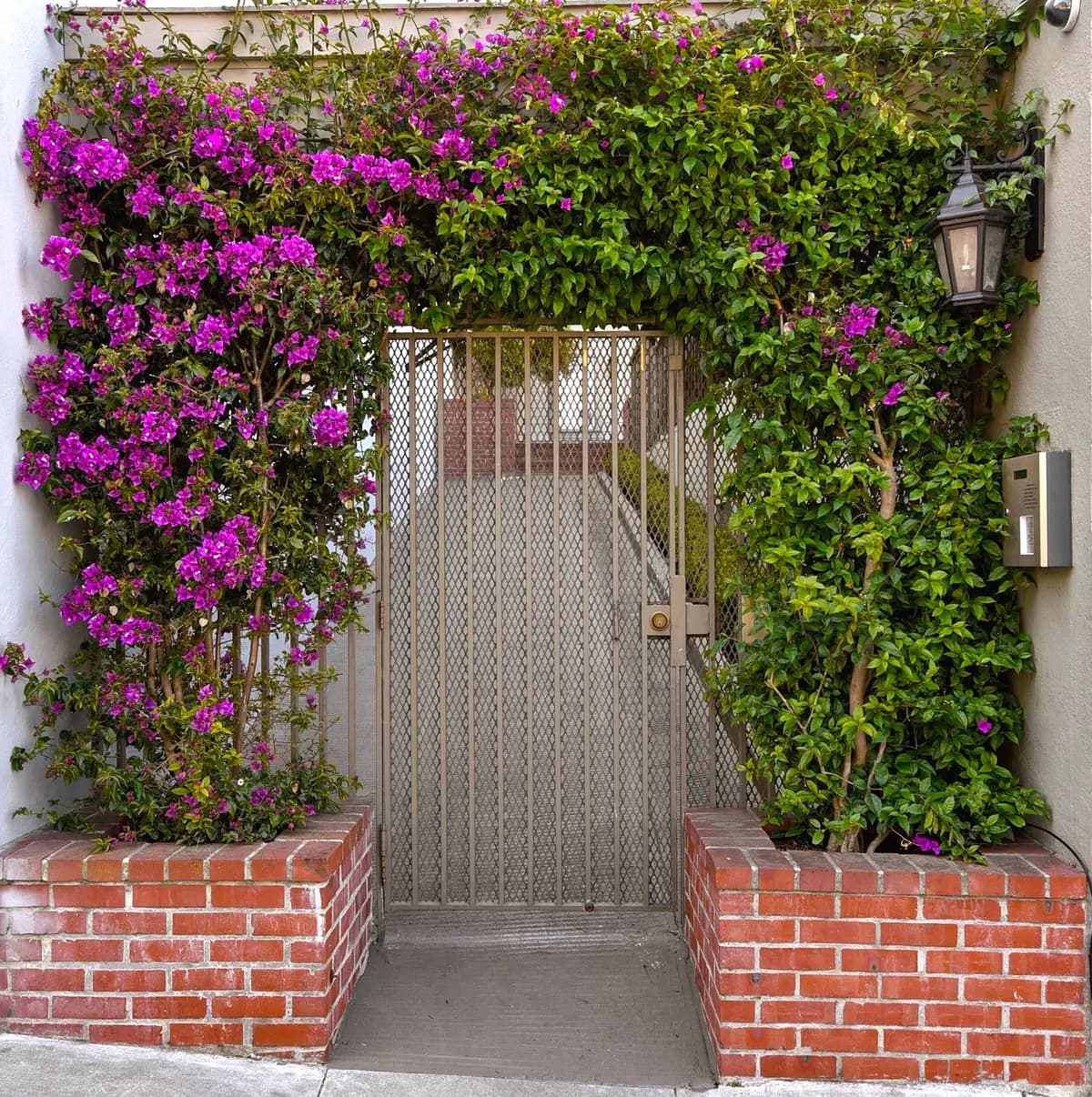 577 Lombard St, rental in North Beach, San Francisco